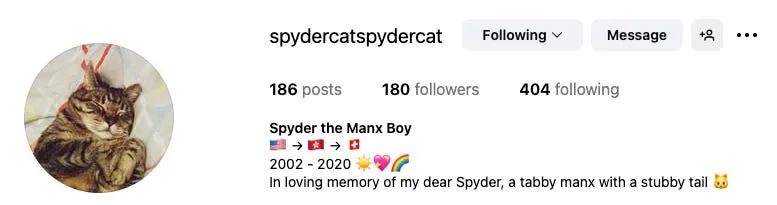 Spyder's Instagram profile information.