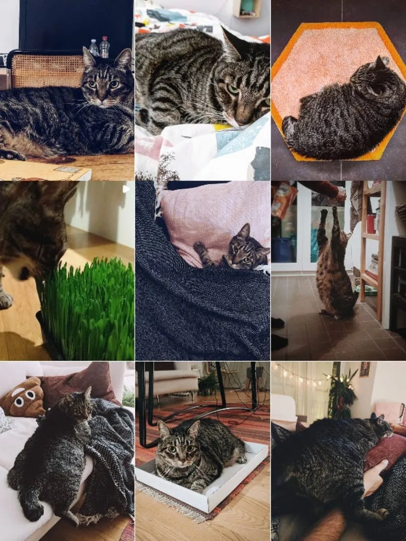 A crop of Spyder's Instagram grid.