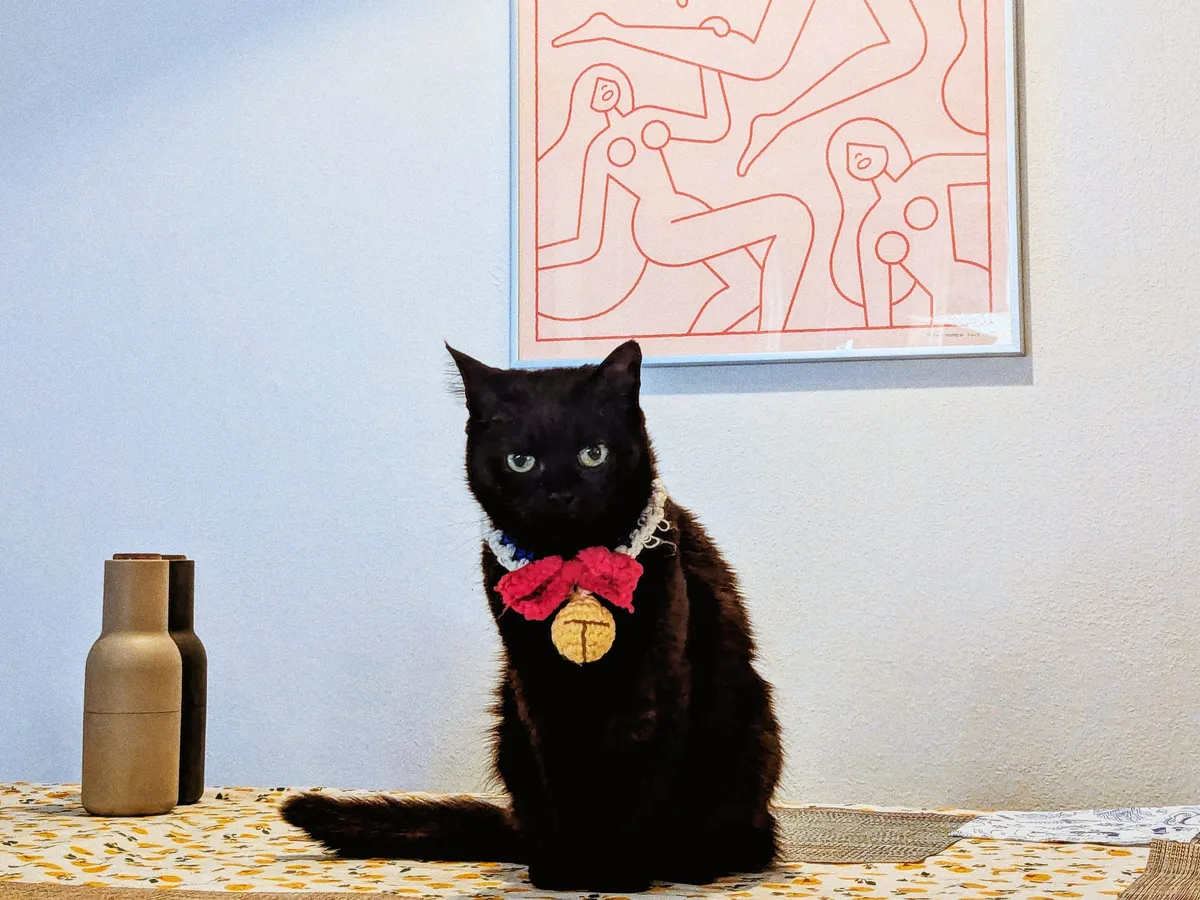 Boba the black cat sits on an emptied dining table, staring intently at the camera. She is wearing a crocheted collar with a huge red bow and yellow bell.