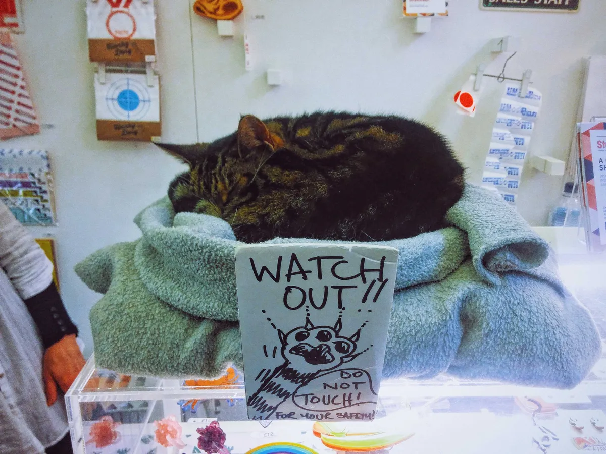 A shop cat sleeping on the counter. There is a handwritten sign in front that says, "Watch out!" with a drawing of cat claws.