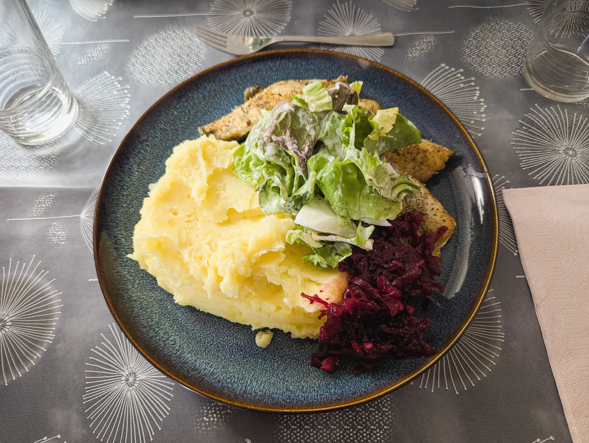 A blue plate with food. One third is of mashed potatoes, another third has fried fish, and the last third is red beet salad. There is a small portion green salad with dressing on top.