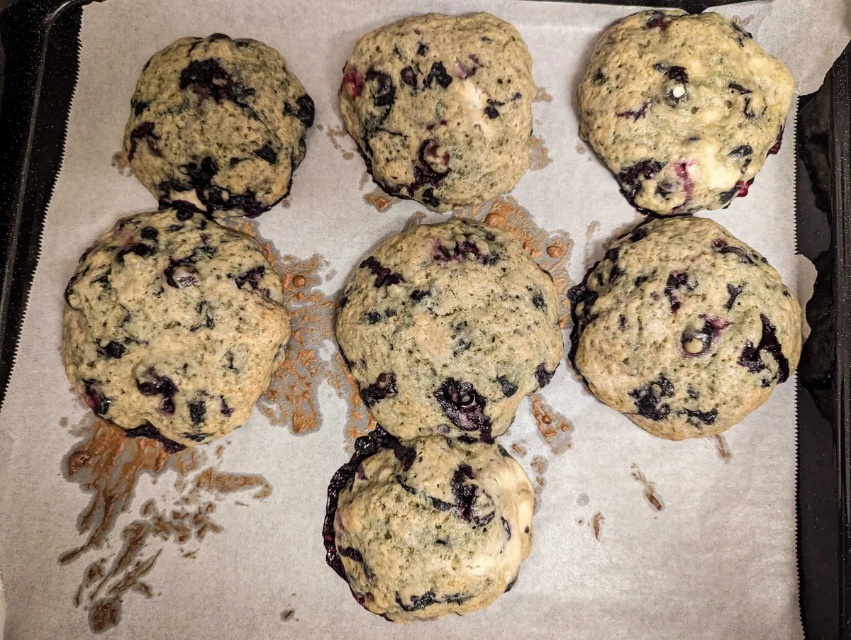 Baked blueberry cookies that look fine.