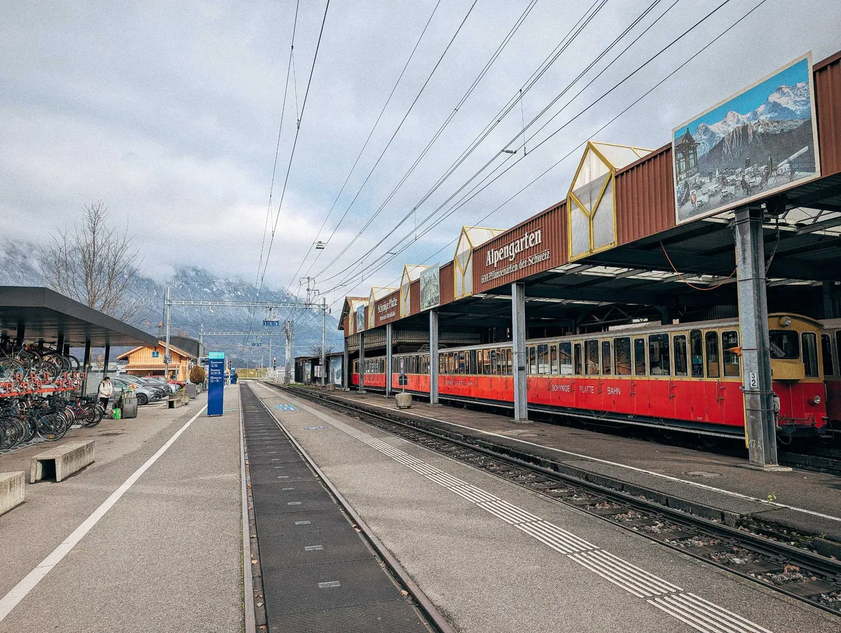 An open building with the words, "Alpengarten" houses a long old-fashioned train that's yellow on the top half and red on the bottom half. It is in front of the train tracks.