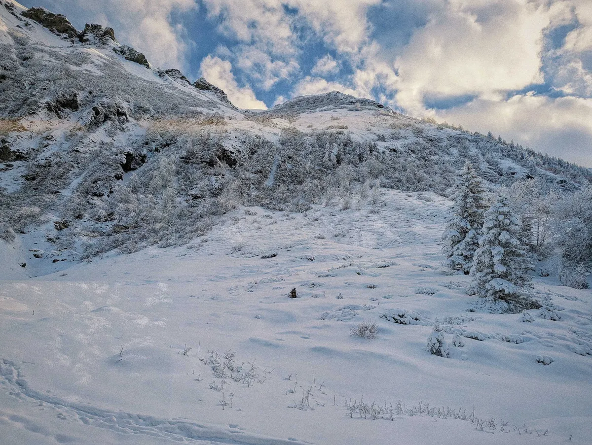 A mountain slope covered in powdery white snow.
