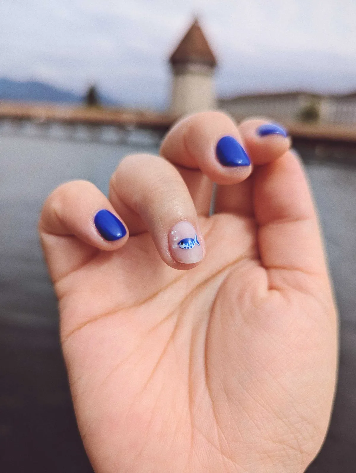 A close-up of Peige's fresh manicure. All the nails are painted a cobalt blue, except for the ring finger. That one has an intricate painting of a little blue and white fish blowing bubbles, painted against a nude background.