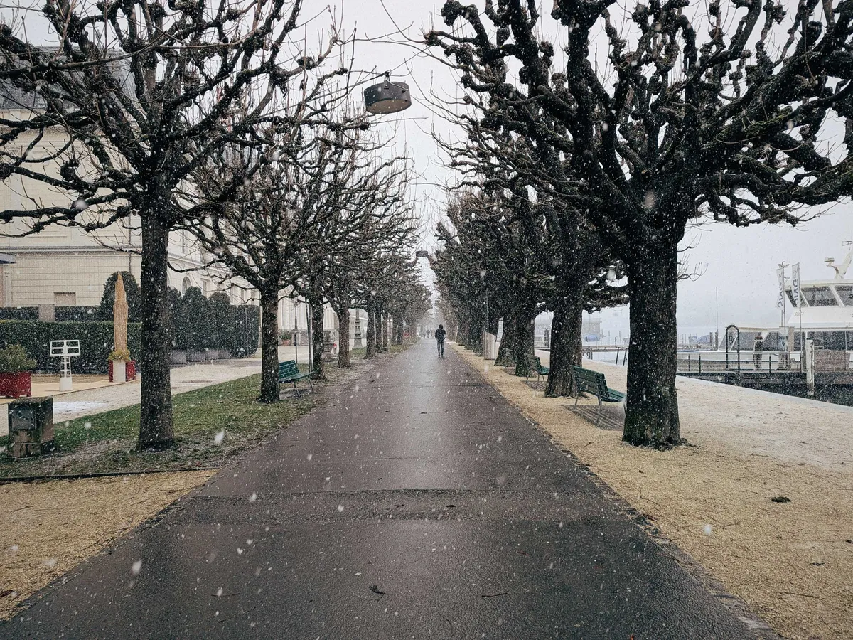 A long dark path made of asphalt stretches into the distance. The promenade is lined with barren trees. A man walks in the distance. Blurry bits of snow cover the photo.