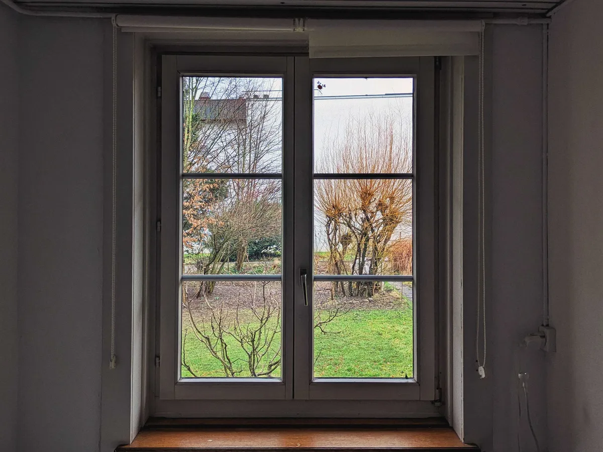A dark room lit by the natural lighting from the window. There is a view of a garden with green grass and naked trees.