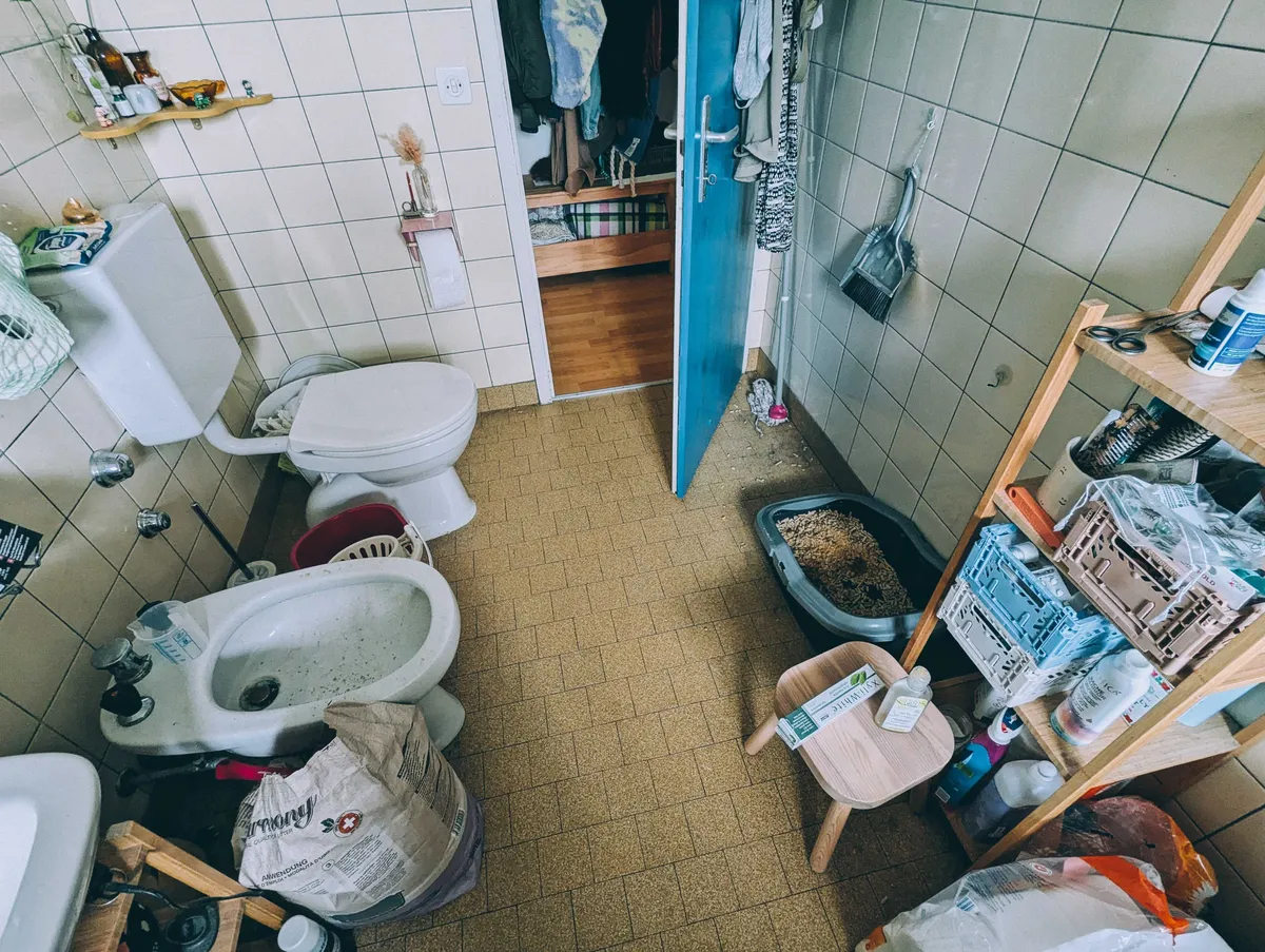 The bathroom looking messy and cluttered. Most notably are litter pellets on the floor and in the bidet.