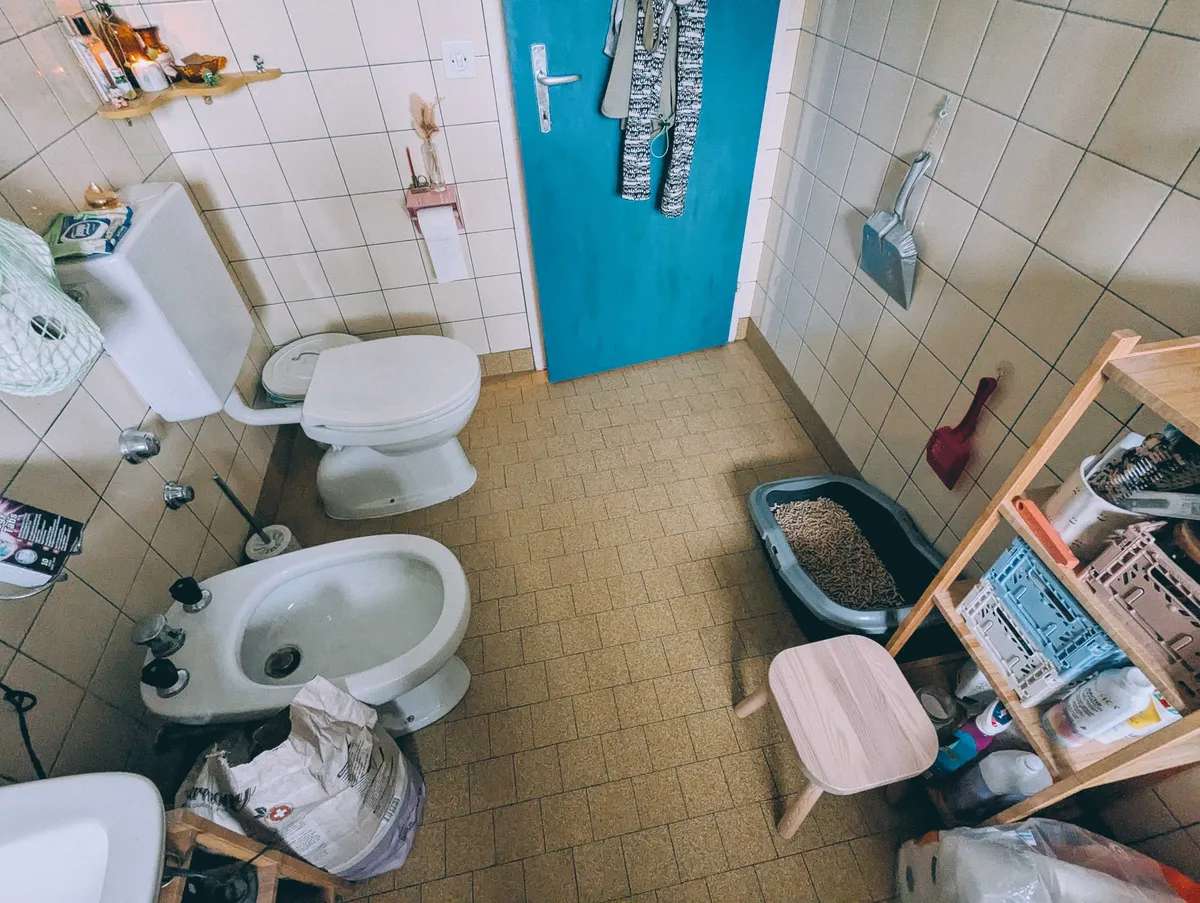 Clean bathroom floors, fresh litterbox, and items look tidy.