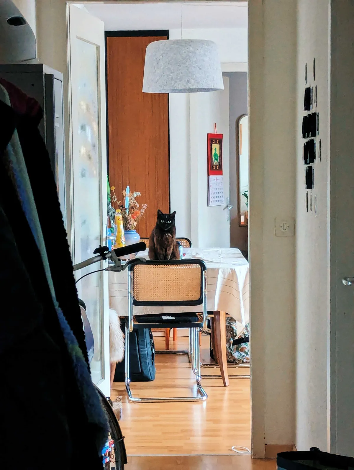 A close-up of the same image, but with Boba staring blankly at the camera.