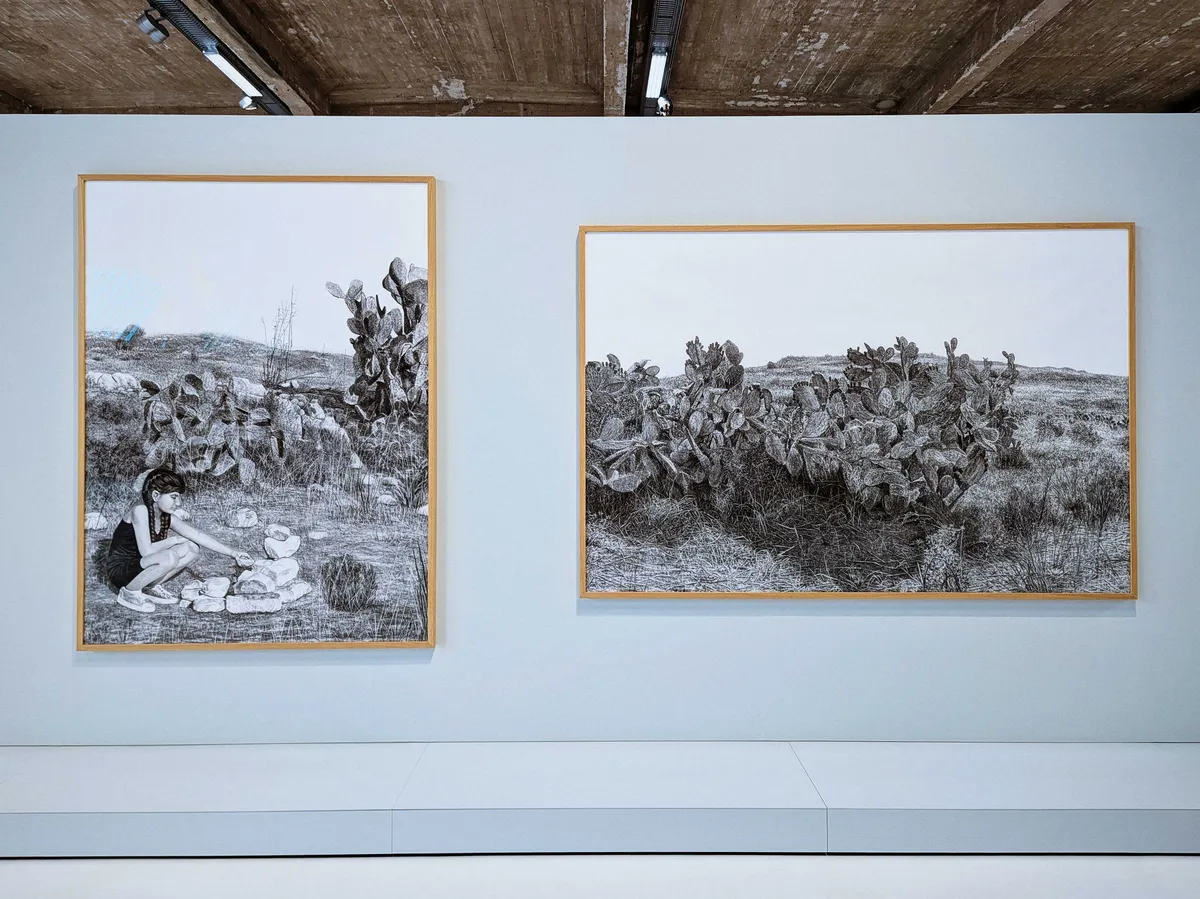 Two large charcoal drawings by artist Samah Shihadi, featuring a young figure interacting with stones in a landscape dominated by prickly pear cacti.
