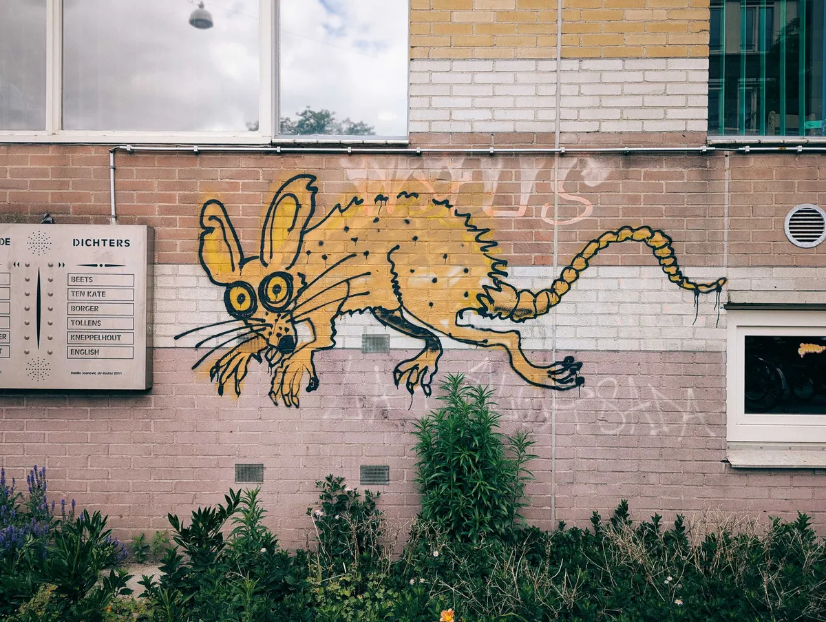 Graffiti of a frazzled-looking yellow rat on the side of a brick building.