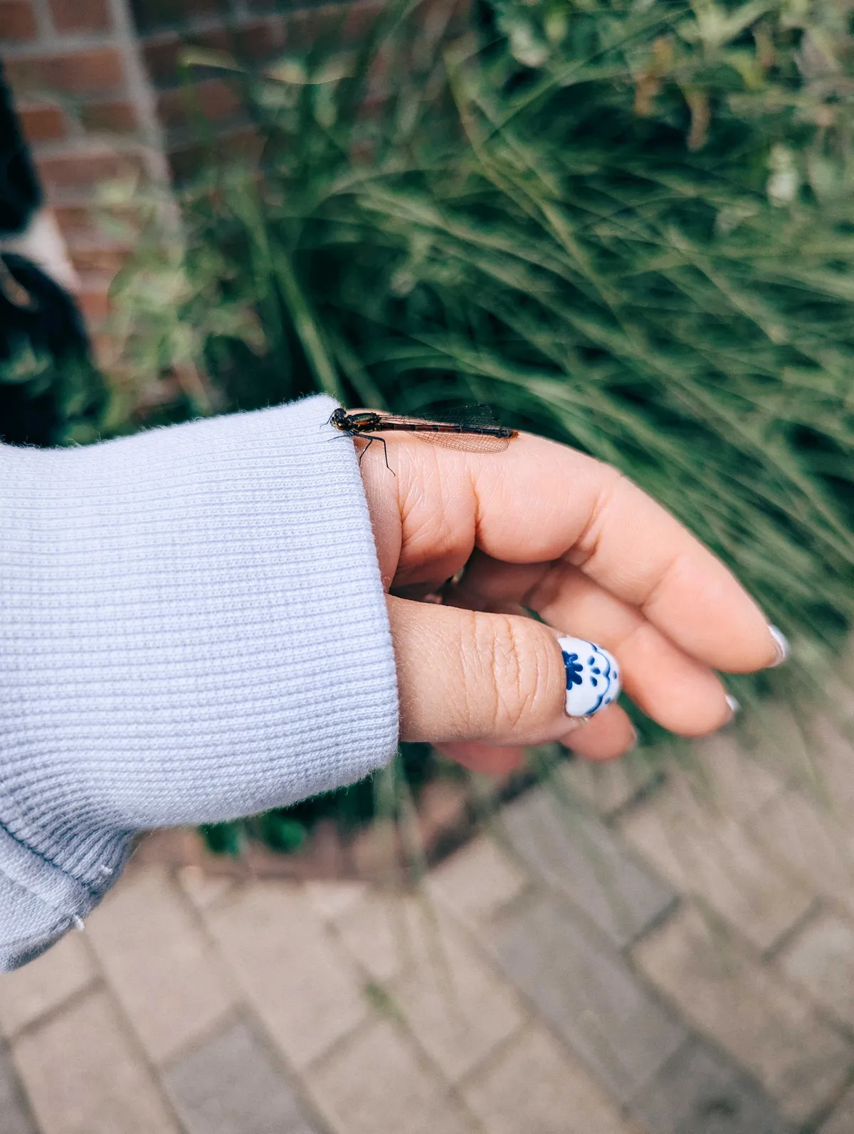 A tiny dragonfly resting on Peige's hand.