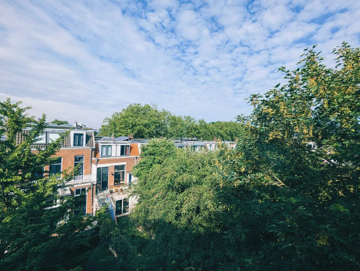 Lush trees surround some brick apartments against a bright blue sky filled with white clouds.