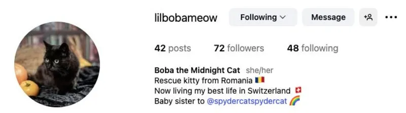 Boba's Instagram profile information.