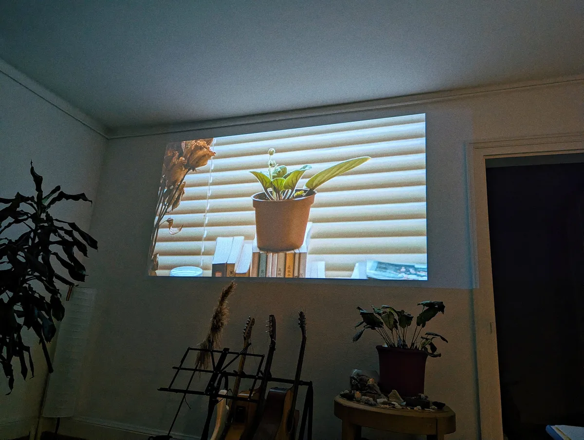 A projected image of a potted plant sitting on top of some books is shone against a blank wall.