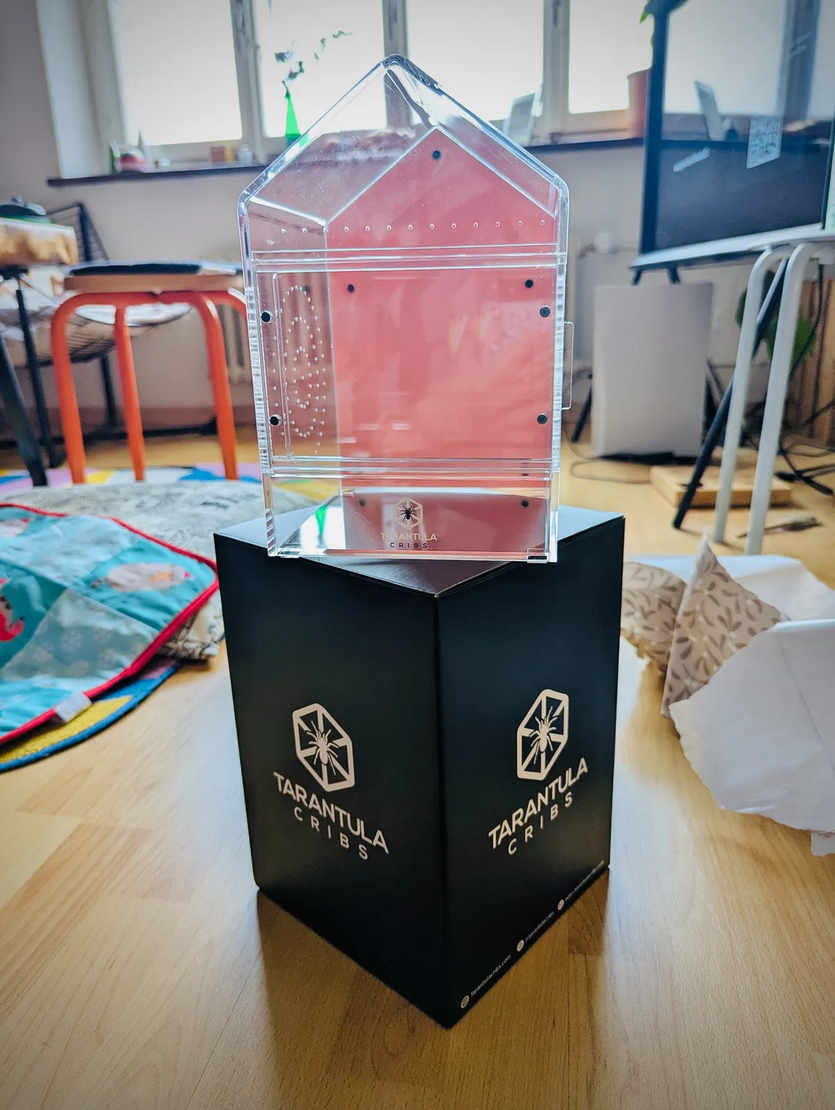 A clear, acrylic box shaped like a house sits on top of a black box that reads "Tarantula Cribs." The house has a pink wall in the back.