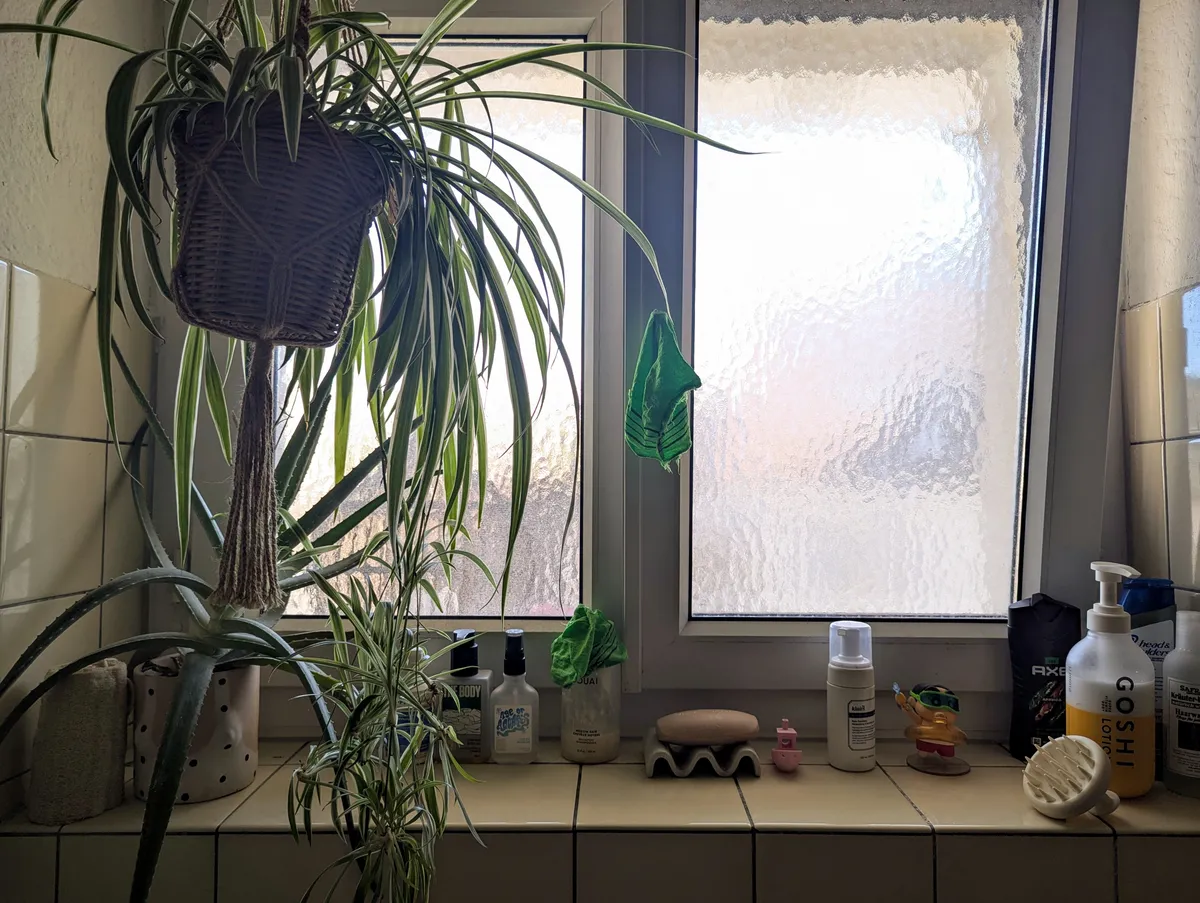 Bathroom window ledge made of pale yellow tiles. There are various bath products on the shelf, and flourishing plants on the left side.