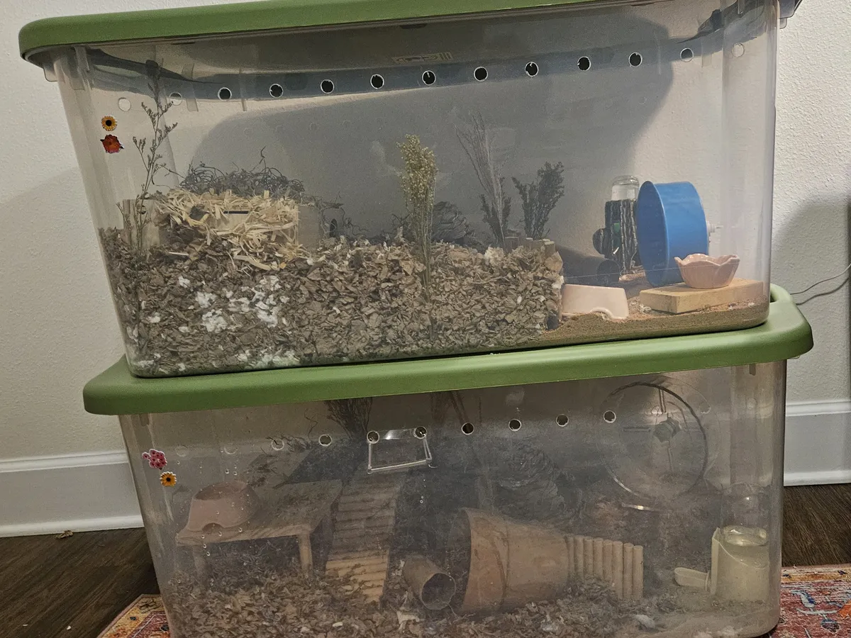 Bin cages
