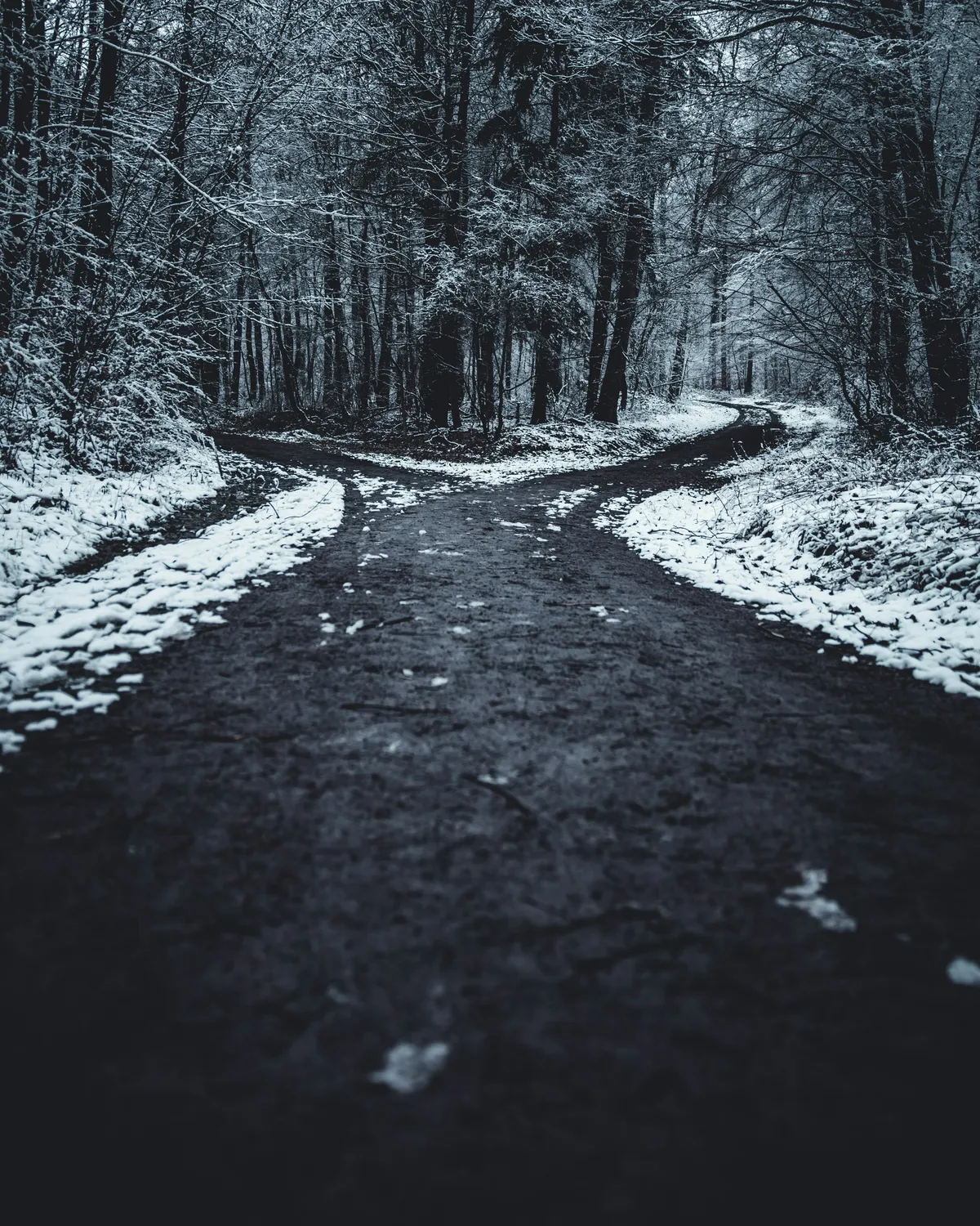 oliver-roos-PCNdauVPbjA-unsplash