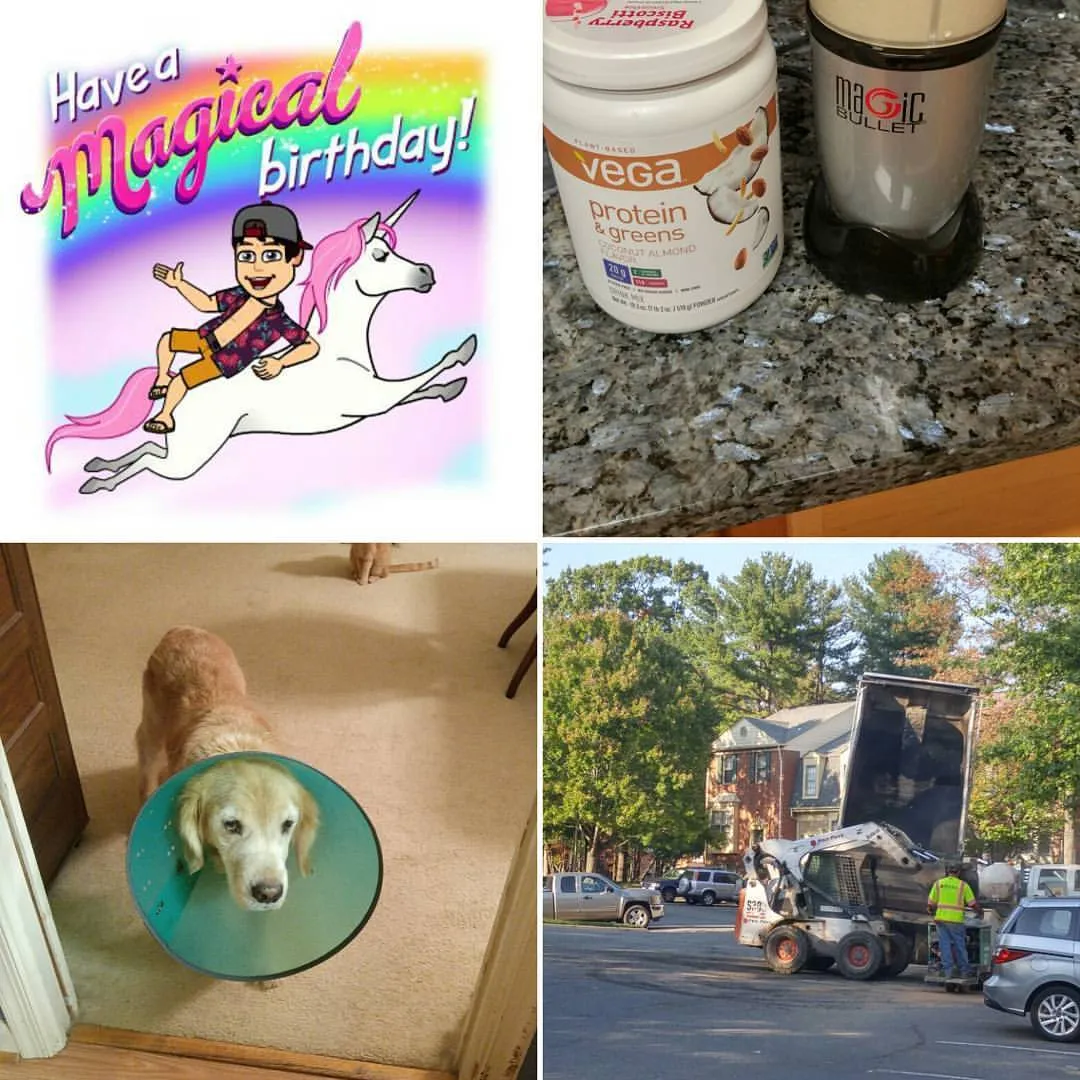 44-1019