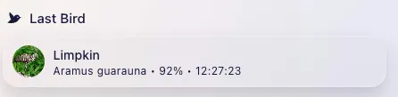 Last Bird