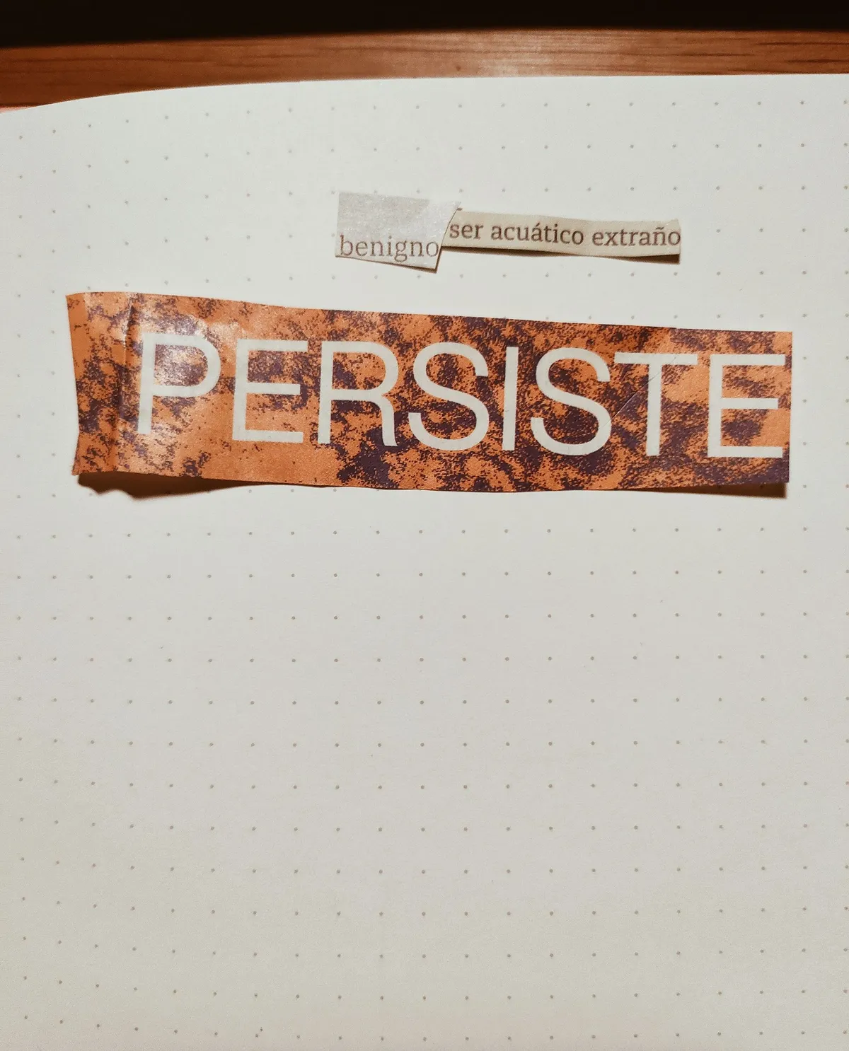 collage de palabras