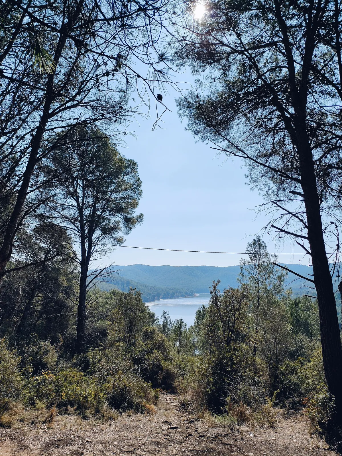 la garza-jpeg