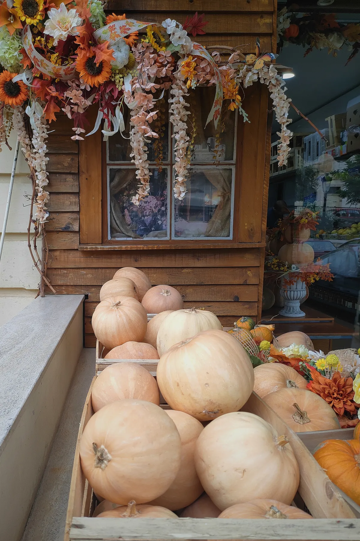 pumpkins