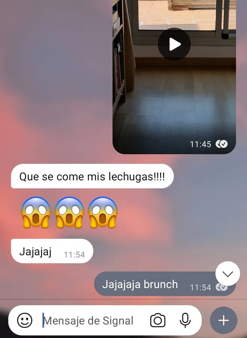 screenshot-lechugas