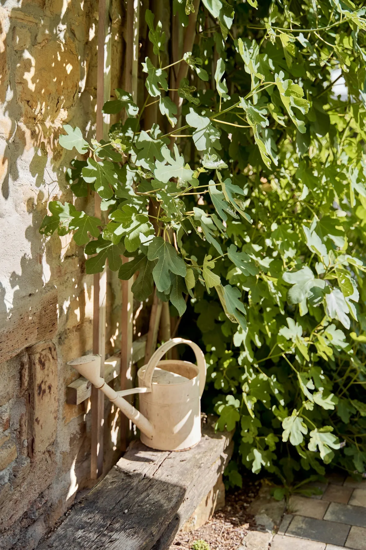 una regadera en un patio