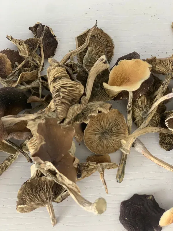 tinywow_EgID4WLWAAA3jtQ_81988619