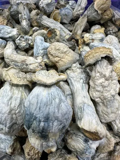 tinywow_FxP_HL4WcAIihb-_89292607