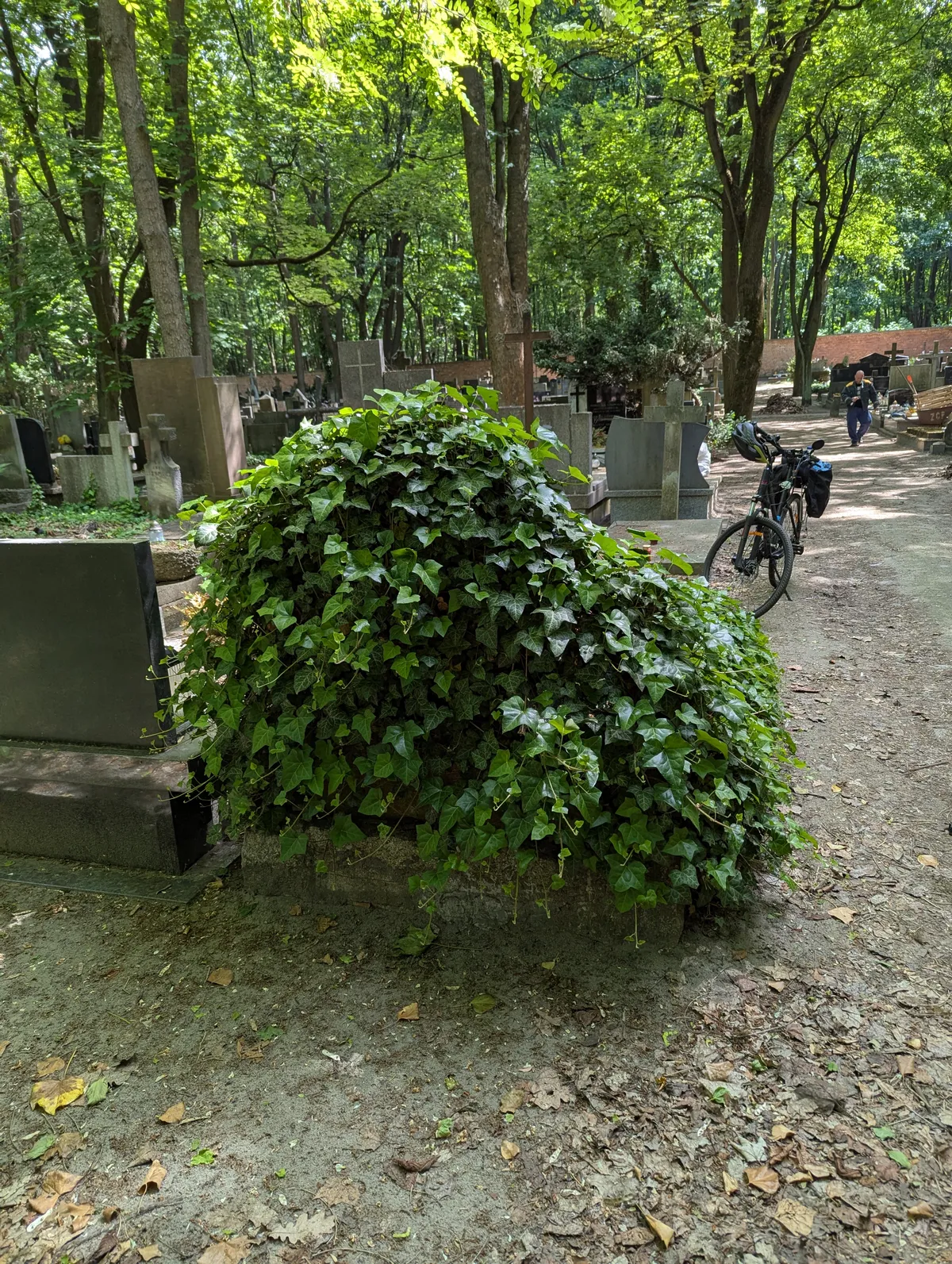 Grób od tyłu