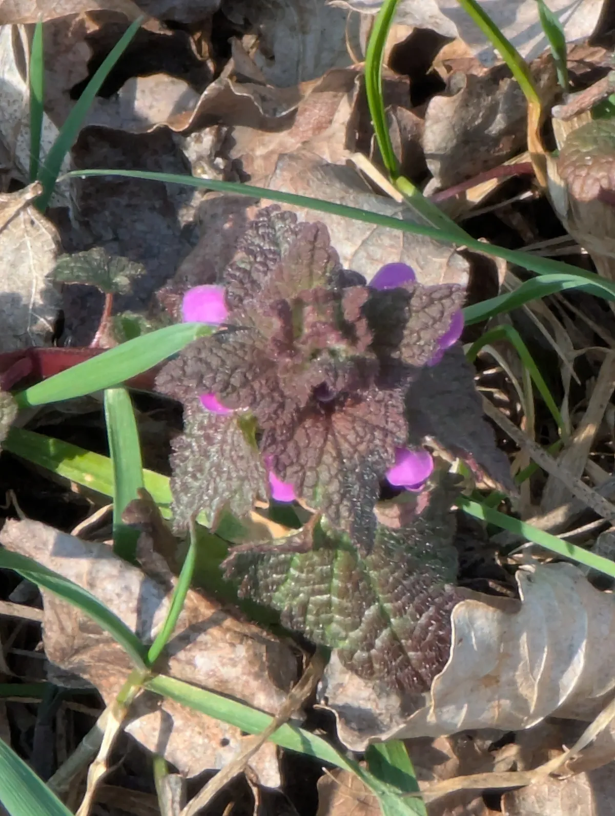 PXL_20260324_121836536