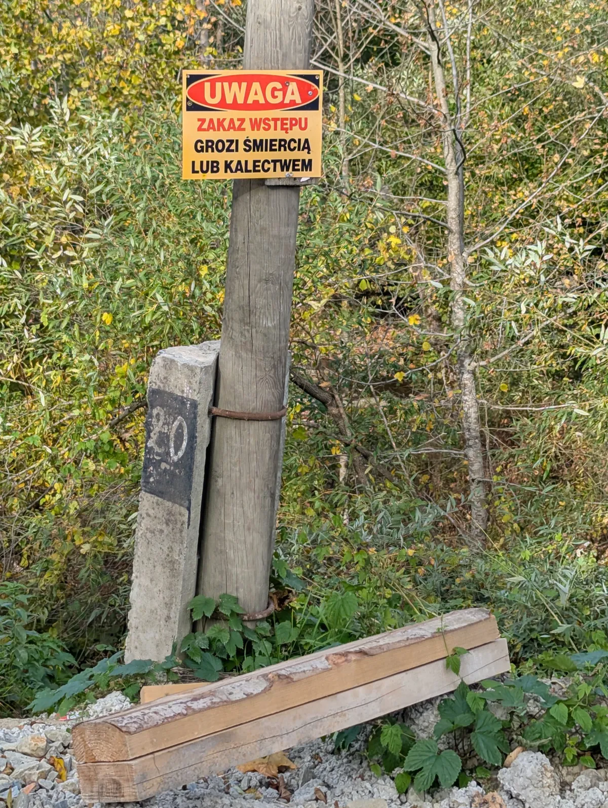 PXL_20261010_123937181