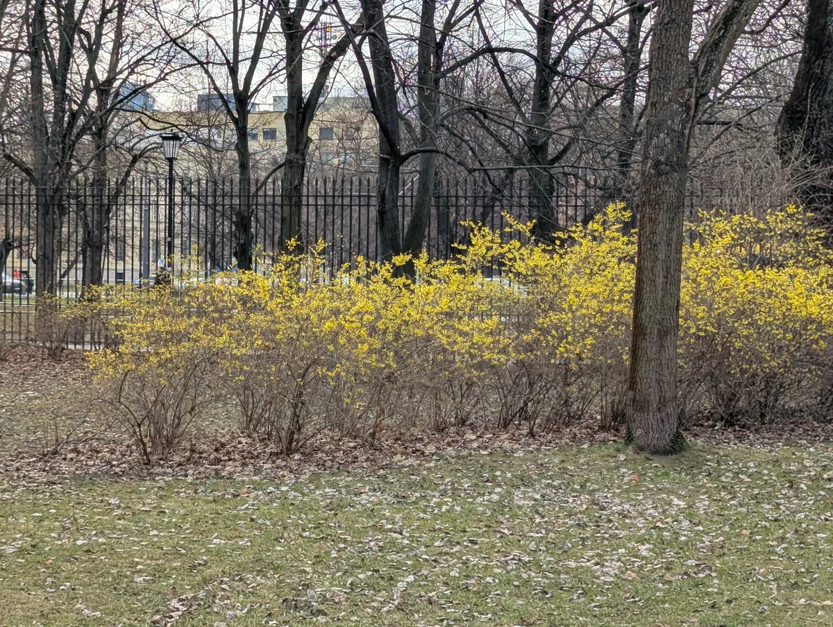 PXL_20260322_112730421