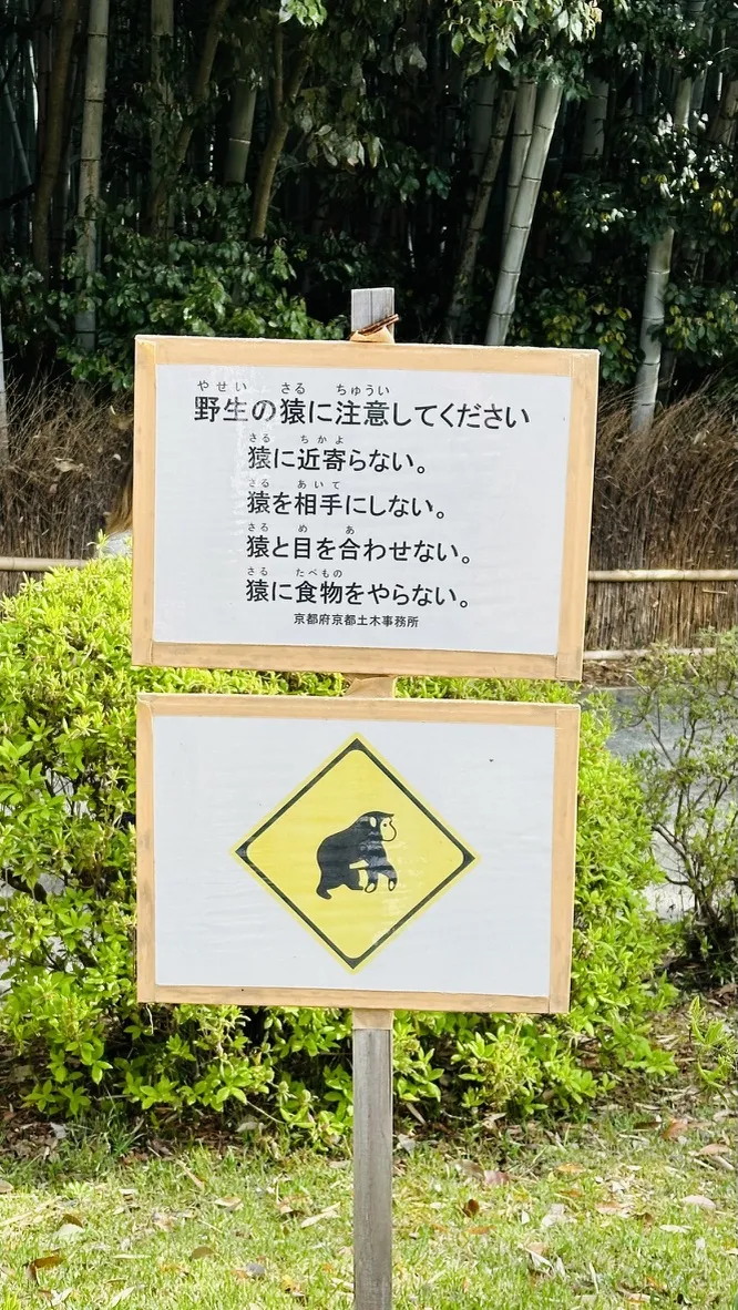 A wooden sign displays warnings about wild monkeys in Japanese, advising caution and outlining behaviors to avoid. Below, a caution symbol features an illustration of a monkey.