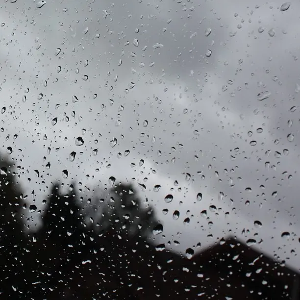 Raindrops cling to a windowpane, with a blurred view of dark, overcast skies and trees in the background. The scene conveys a dreary, rainy atmosphere.