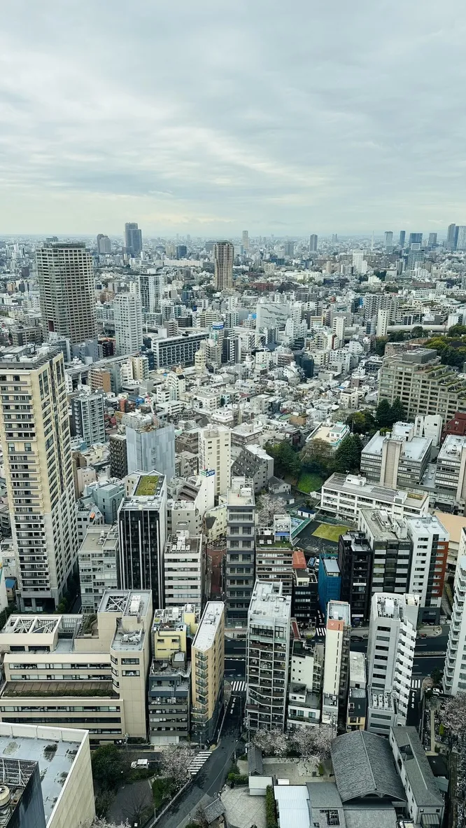 A high-angle view of a densely built urban landscape, showcasing a mix of modern skyscrapers and smaller buildings with various architectural styles. The skyline is set against a cloudy sky, emphasizing the city's vastness and complexity.