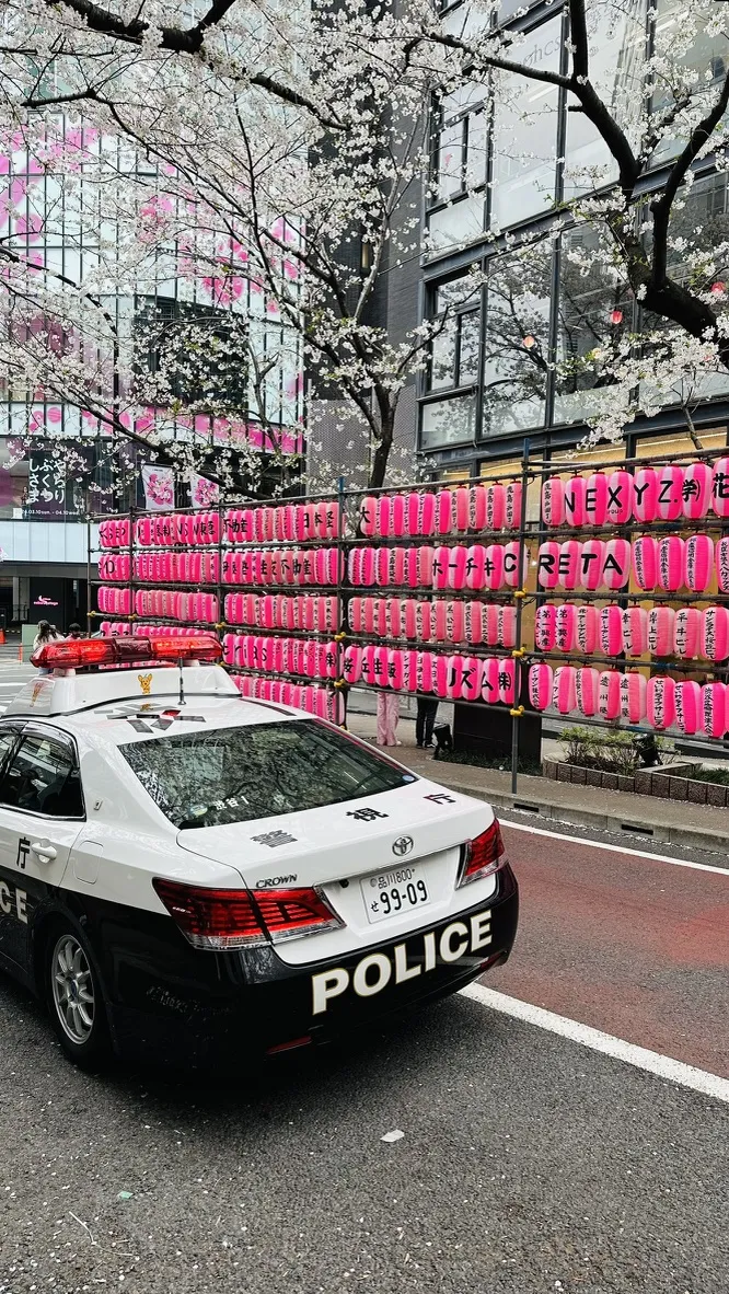 A police car parked on the street is in front of a wall adorned with vibrant pink paper lanterns. Cherry blossom trees are visible in the background, adding to the scene's colorful spring atmosphere.