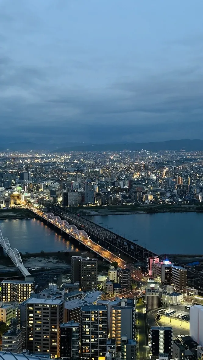 A panoramic view of a city skyline during twilight, showcasing a river with a bridge illuminated by city lights. The scene features a mix of tall buildings, some residential, and a cloudy sky in the background.