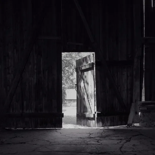 A partially open wooden barn door reveals a glimpse of light and greenery outside, contrasting with the dark interior of the barn. The floor is cracked and worn, adding to the rustic feel of the scene.