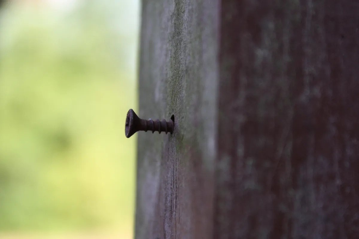 A rusted screw protrudes from a weathered wooden surface, surrounded by a blurred green background. The focus is on the screw, highlighting its details against the textured wood.