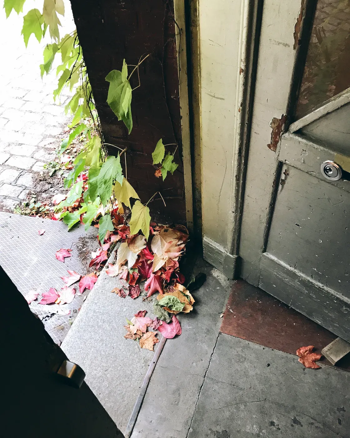 A partially opened door reveals a corner of a stone threshold covered with fallen autumn leaves in shades of red and yellow. Vines with green leaves are creeping in from outside, adding a touch of nature to the entryway.