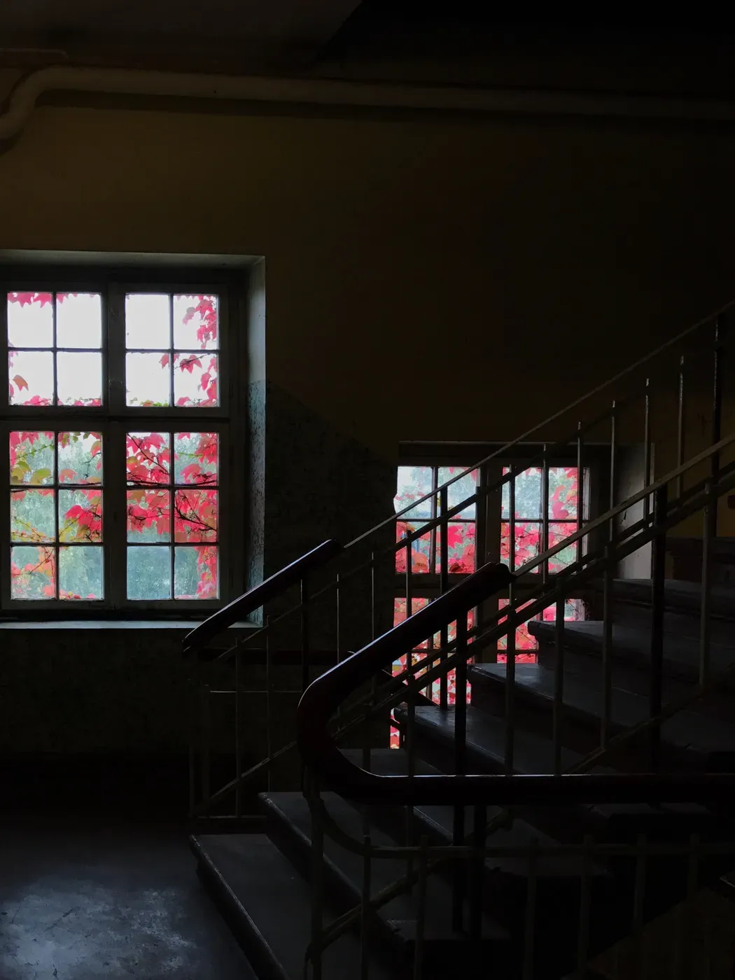 A dimly lit staircase is shown with a railing on the left. Through the windows, vibrant red leaves from outside are visible, contrasting against the dark interior.