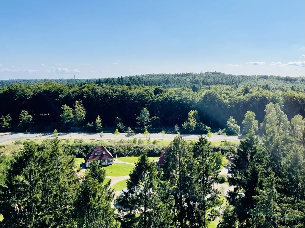 A clear blue sky overlooks a lush green forest with a winding road in the foreground. Nestled among the trees are a few red-roofed cottages and manicured lawns.