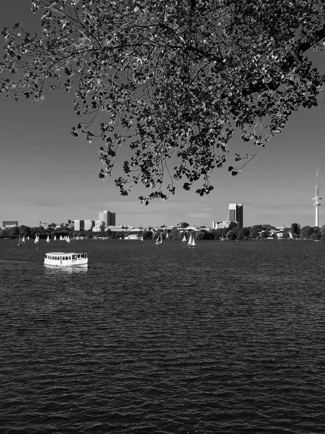 A serene lake scene in black and white features several sailboats gliding across the water, with the shoreline lined by trees and distant buildings against a cloudy sky.