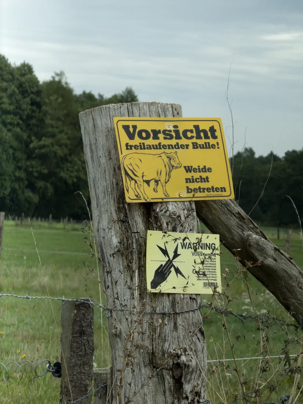 A wooden post features two warning signs: one in German that translates to 