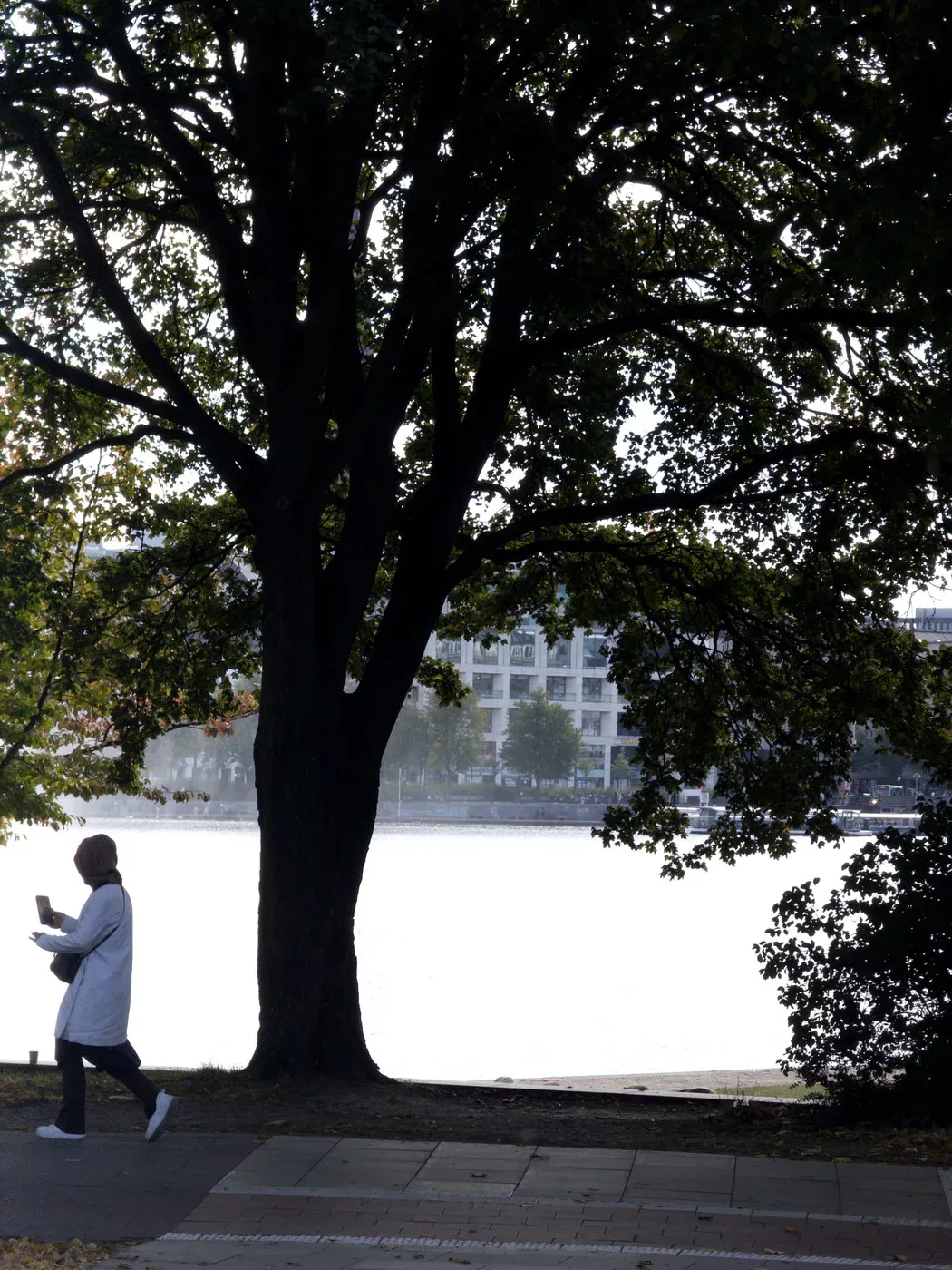 A person wearing a white coat walks along a pathway beside a river, with a large tree casting a shadow in the foreground. In the background, buildings are faintly visible beyond the water.